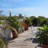 Ponce roof
