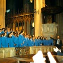 St. Patrick's cathedral